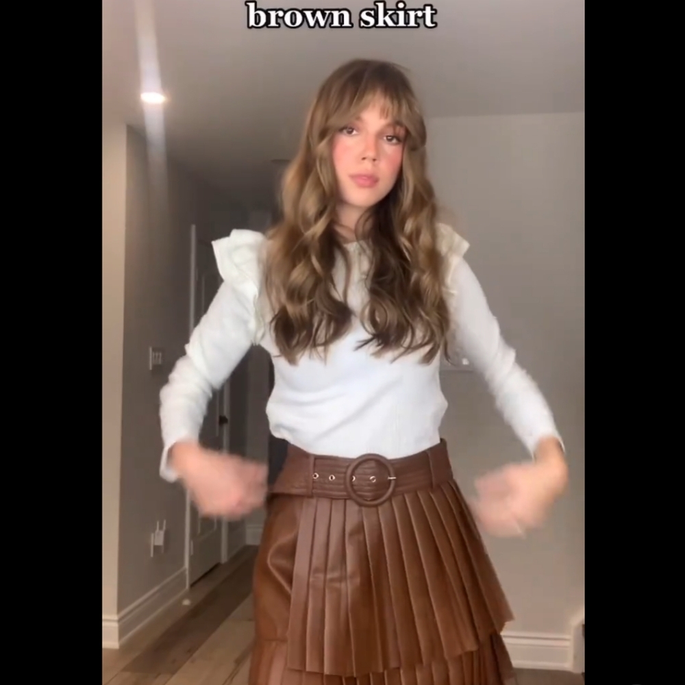 Zara Pleated Faux Brown Leather Skirt (Sold Out Online)